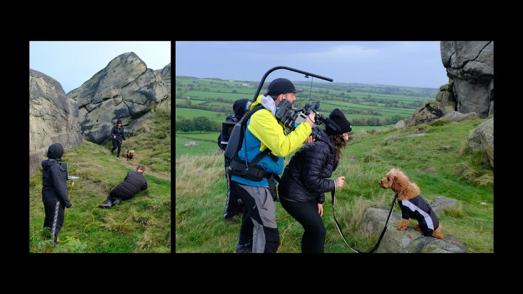 Pets at home 3 peaks BTS photo shoot montage